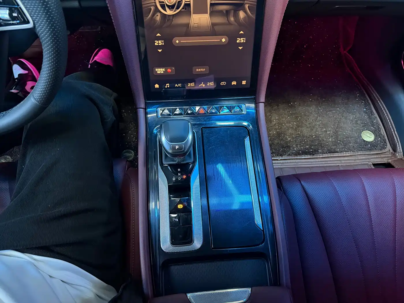 Hongqi H5 2025 1.5T DCT Flag Rhythm 500,000 Units Memorial Edition фото 9