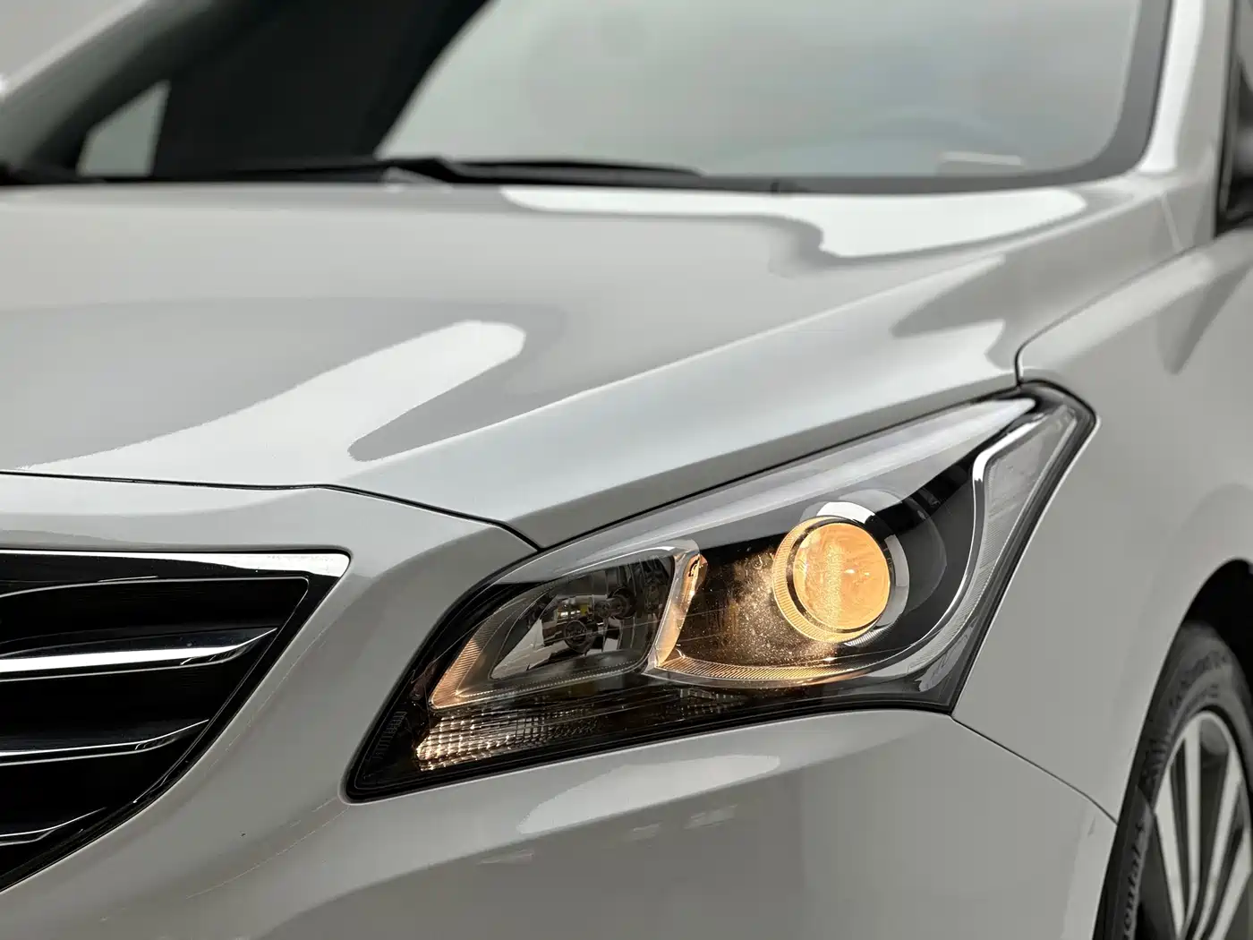 HYUNDAI NAME PICTURE