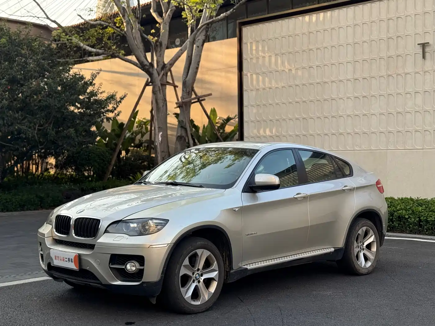 BMW X6 2009 xDrive35i