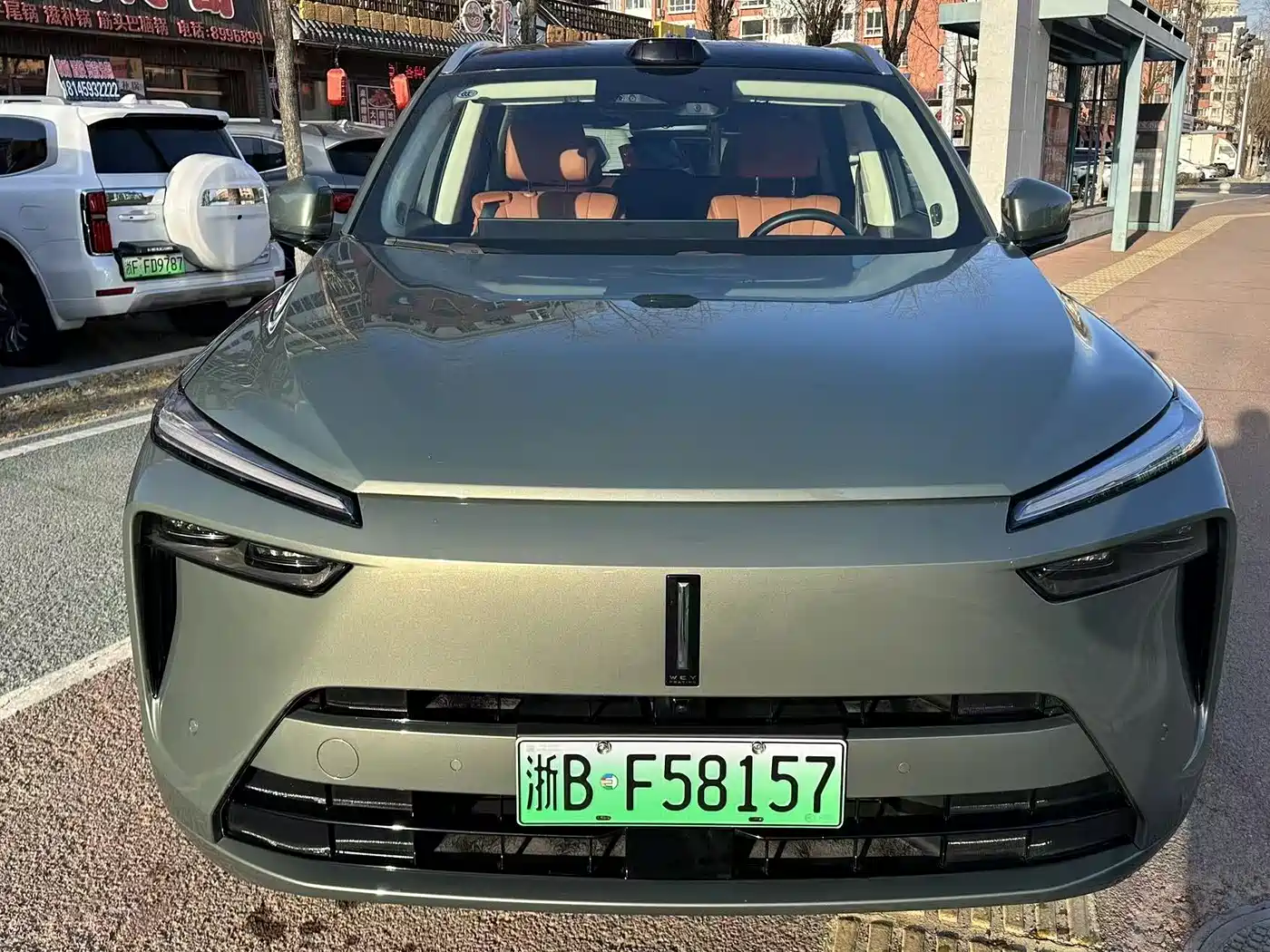 WEI PAI WEI BRAND BLUE MOUNTAIN