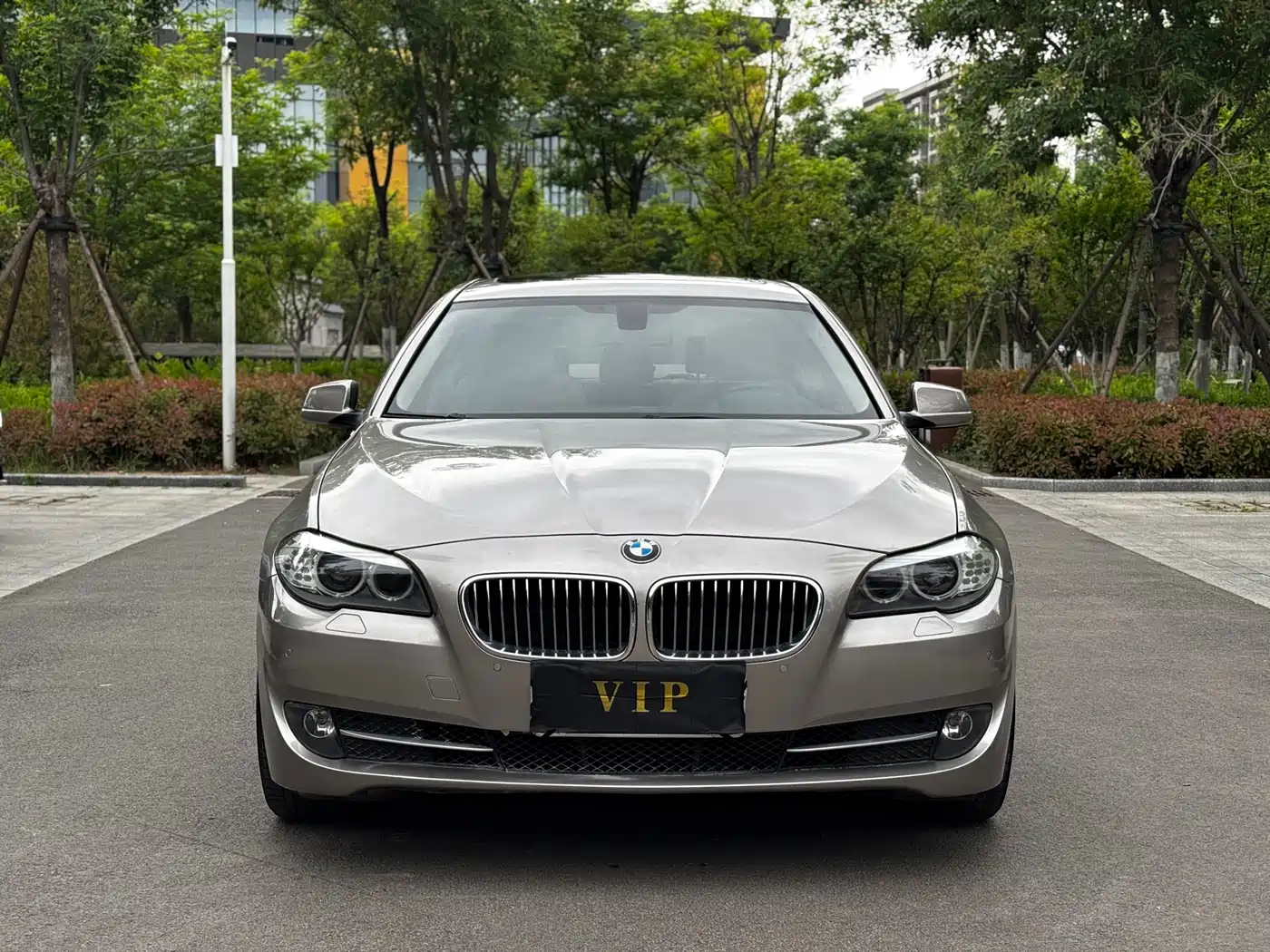 BMW 5 Series 2013 525Li Leadership фото 2