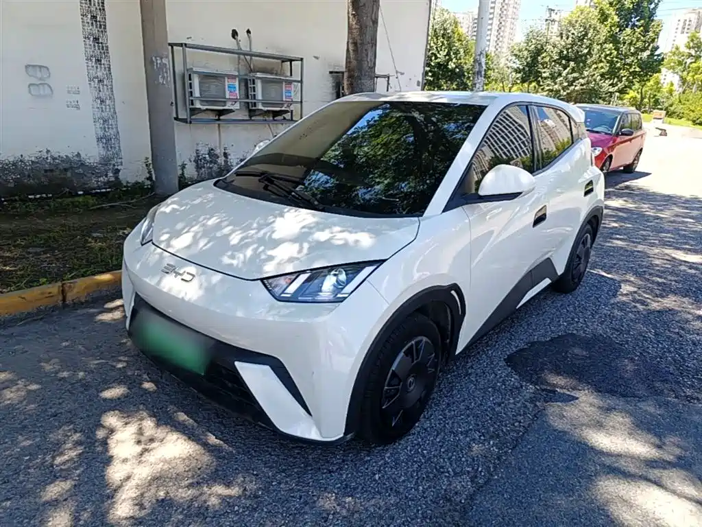 BYD Seagull 2024 Glory Edition 305km Vitality Edition