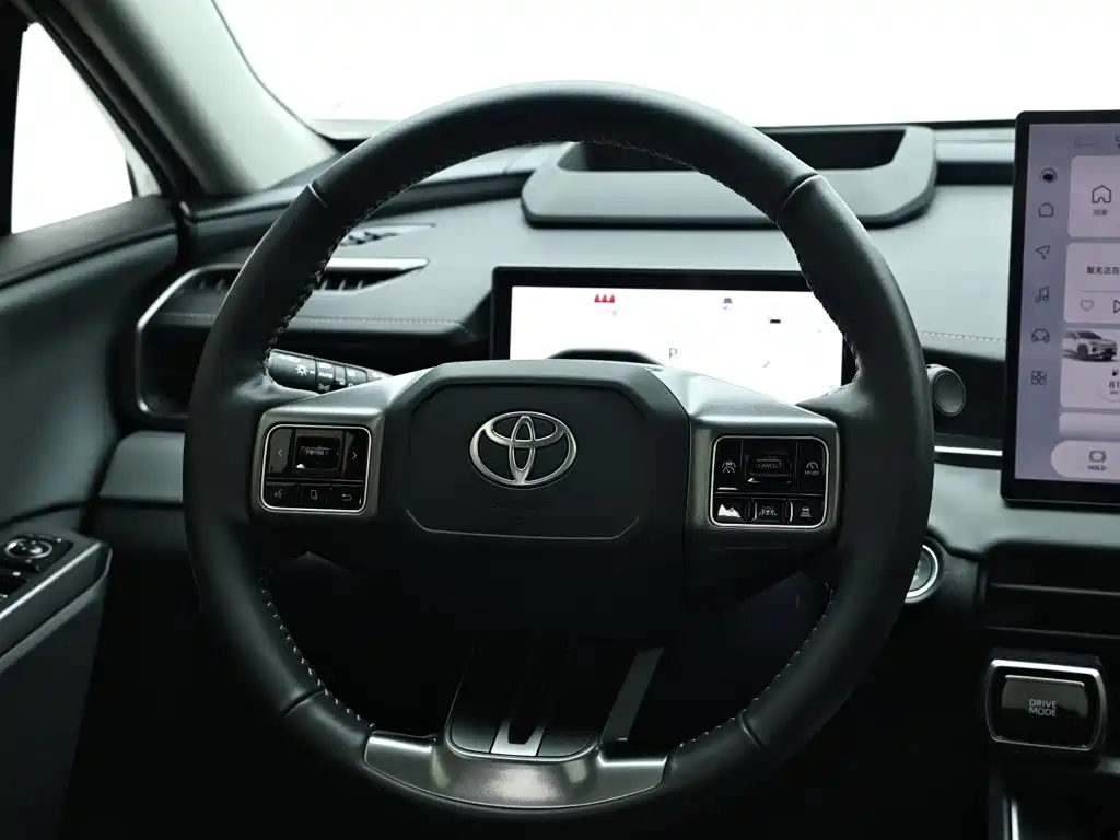 صورة 15 - Toyota Wildlander