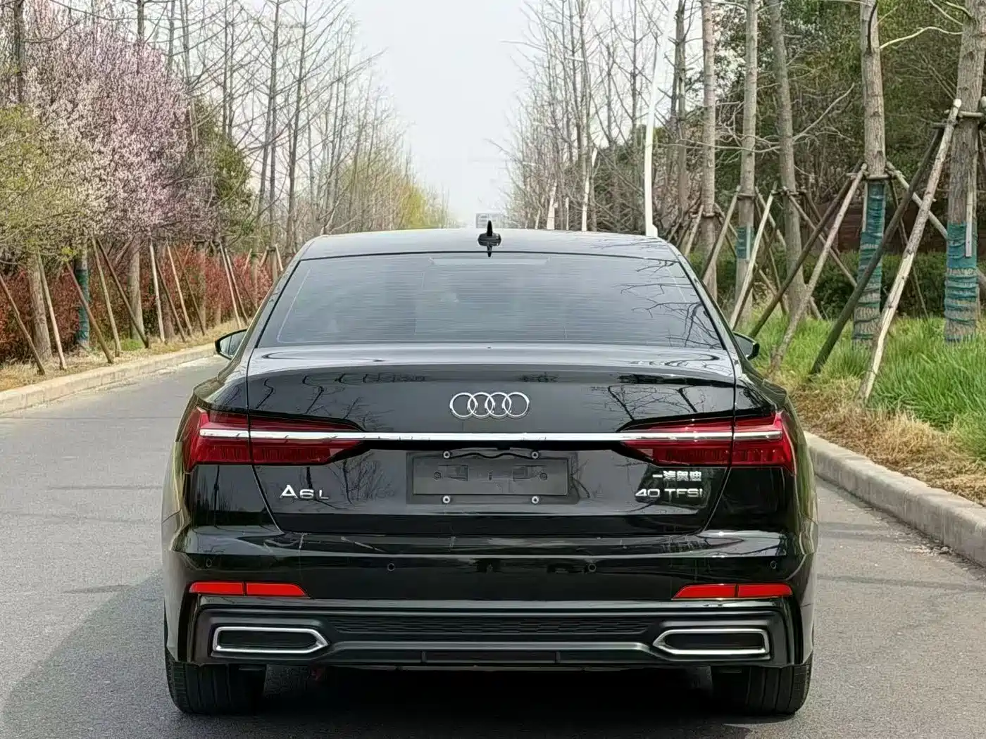 Audi A6L 2020 40 TFSI Luxury Dynamic фото 8