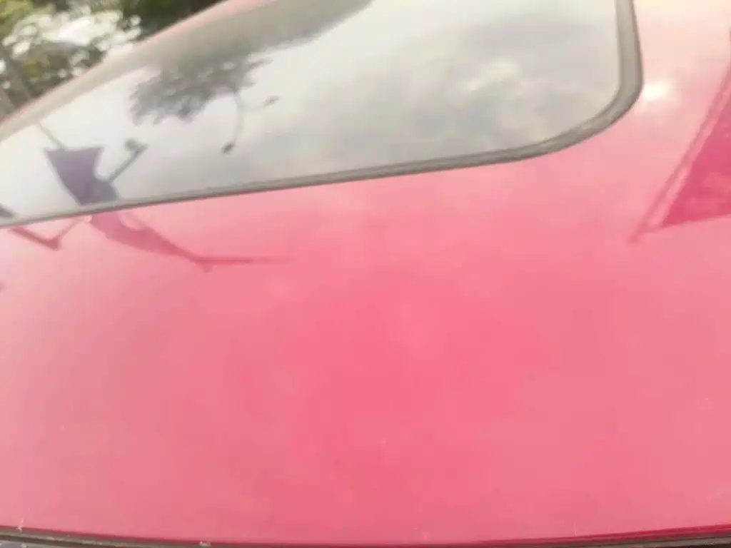 Toyota C-HR 2019 2018 2.0L Leading Sunroof Edition V