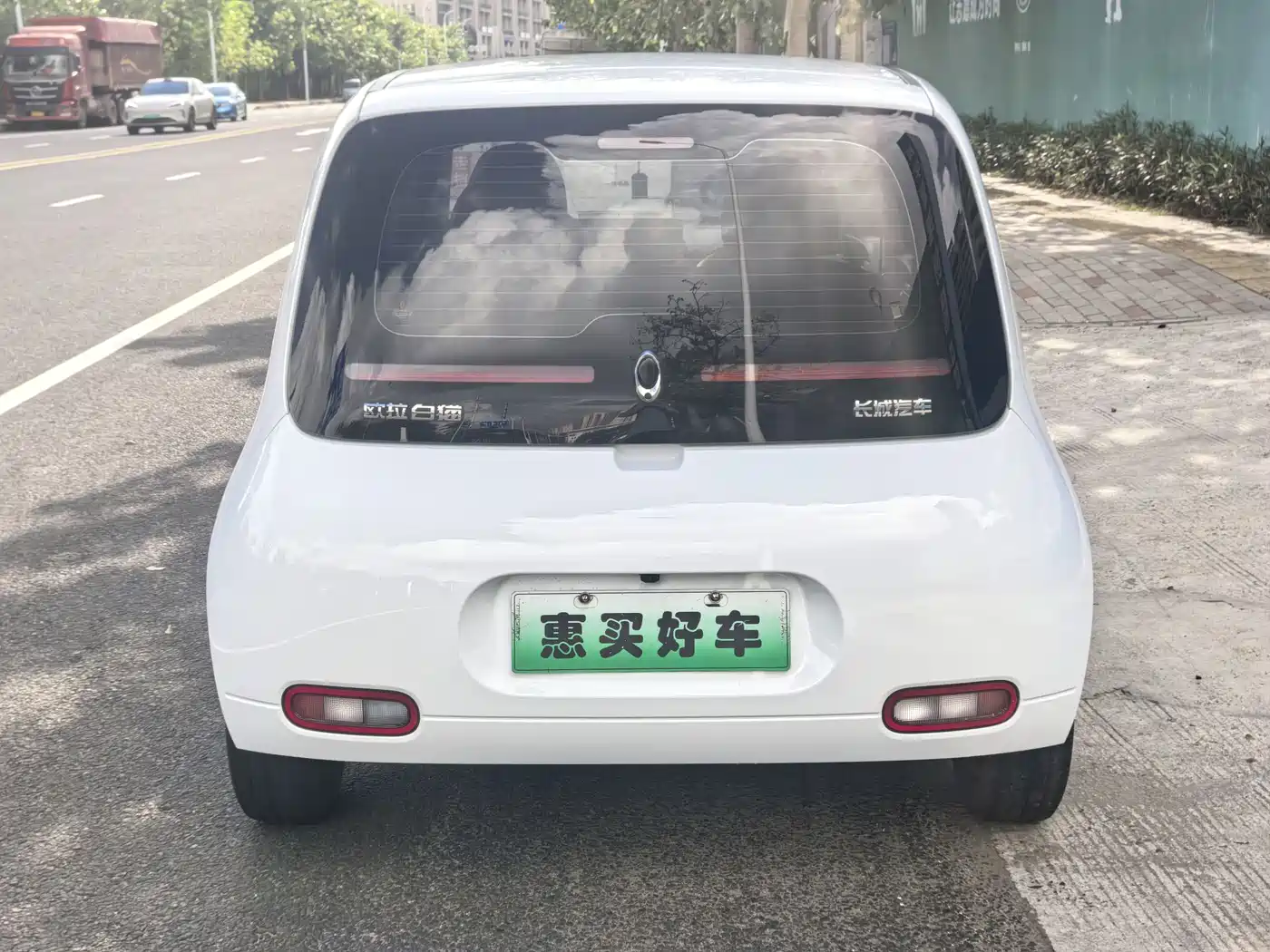 Ora White Cat 2020 2020 360km Standard Model