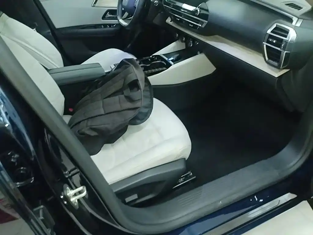 Фото 25 - Citroën Versailles C5 X