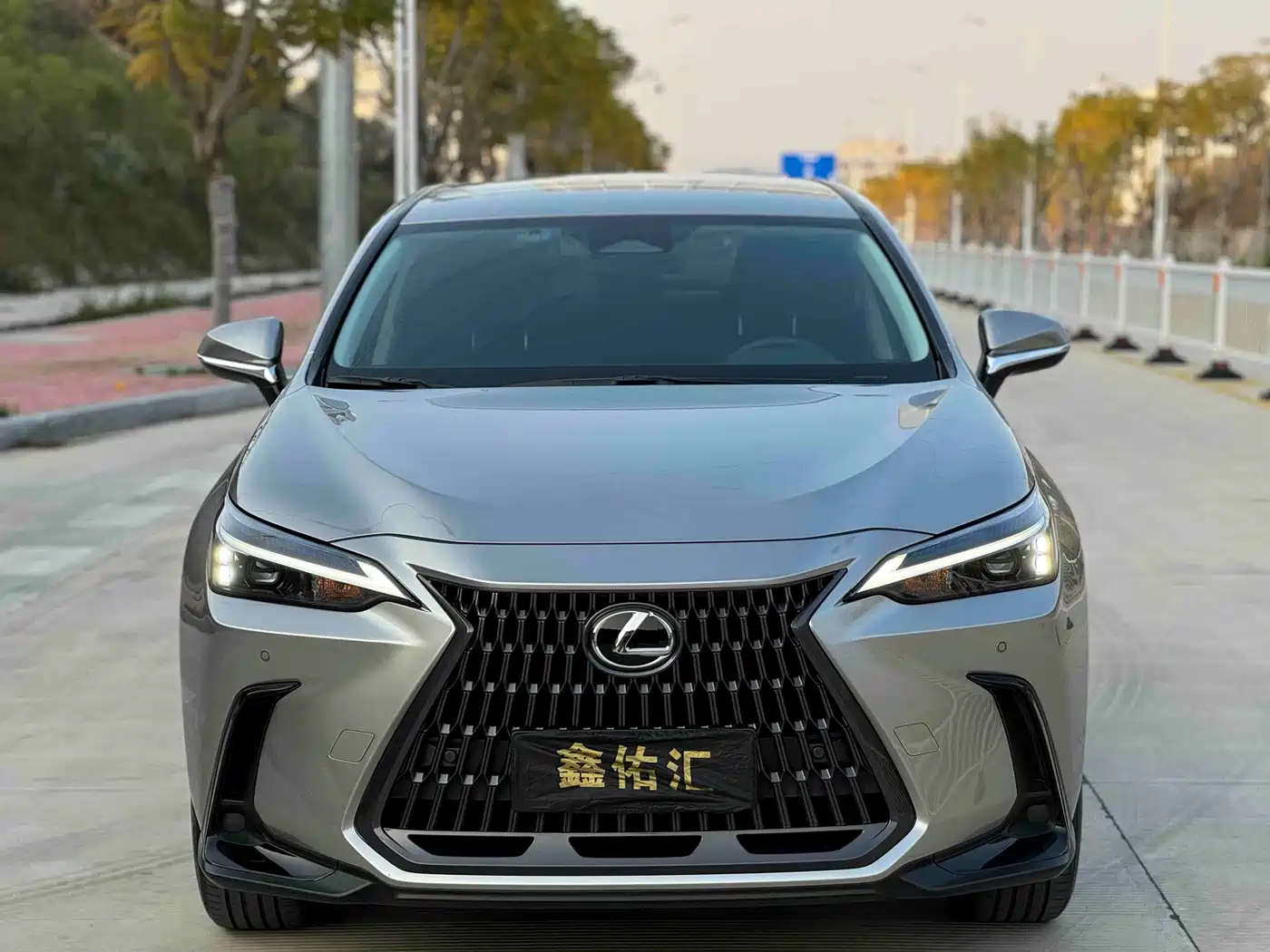 LEXUS NX