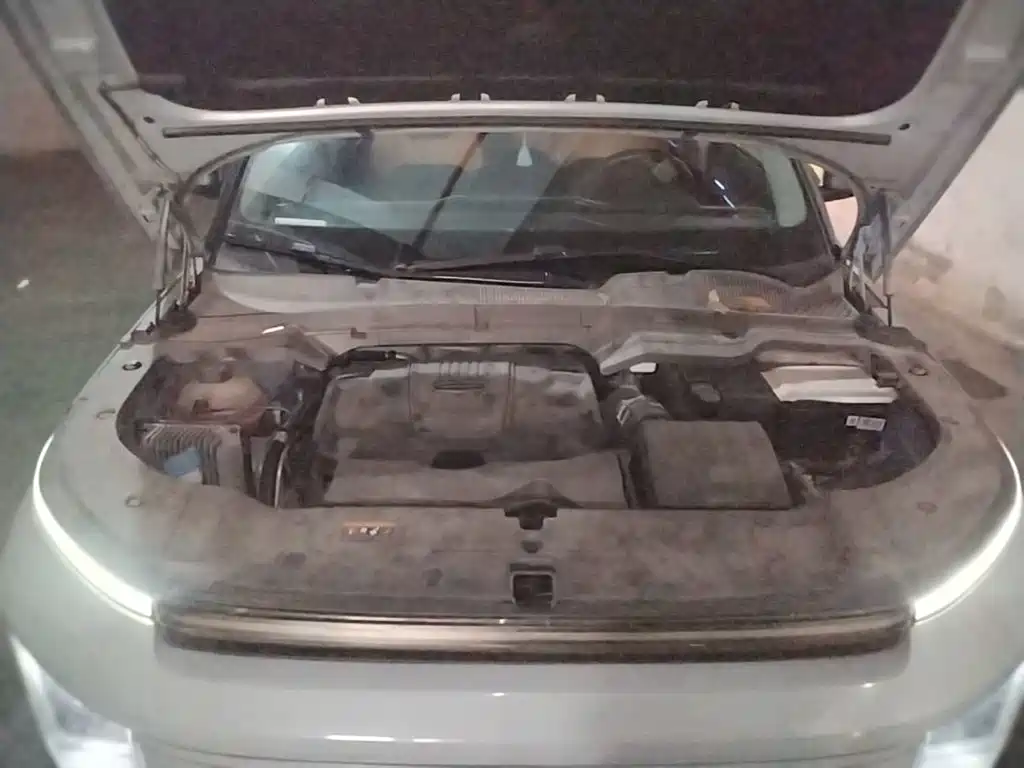 Фото 20 - Geely ICON