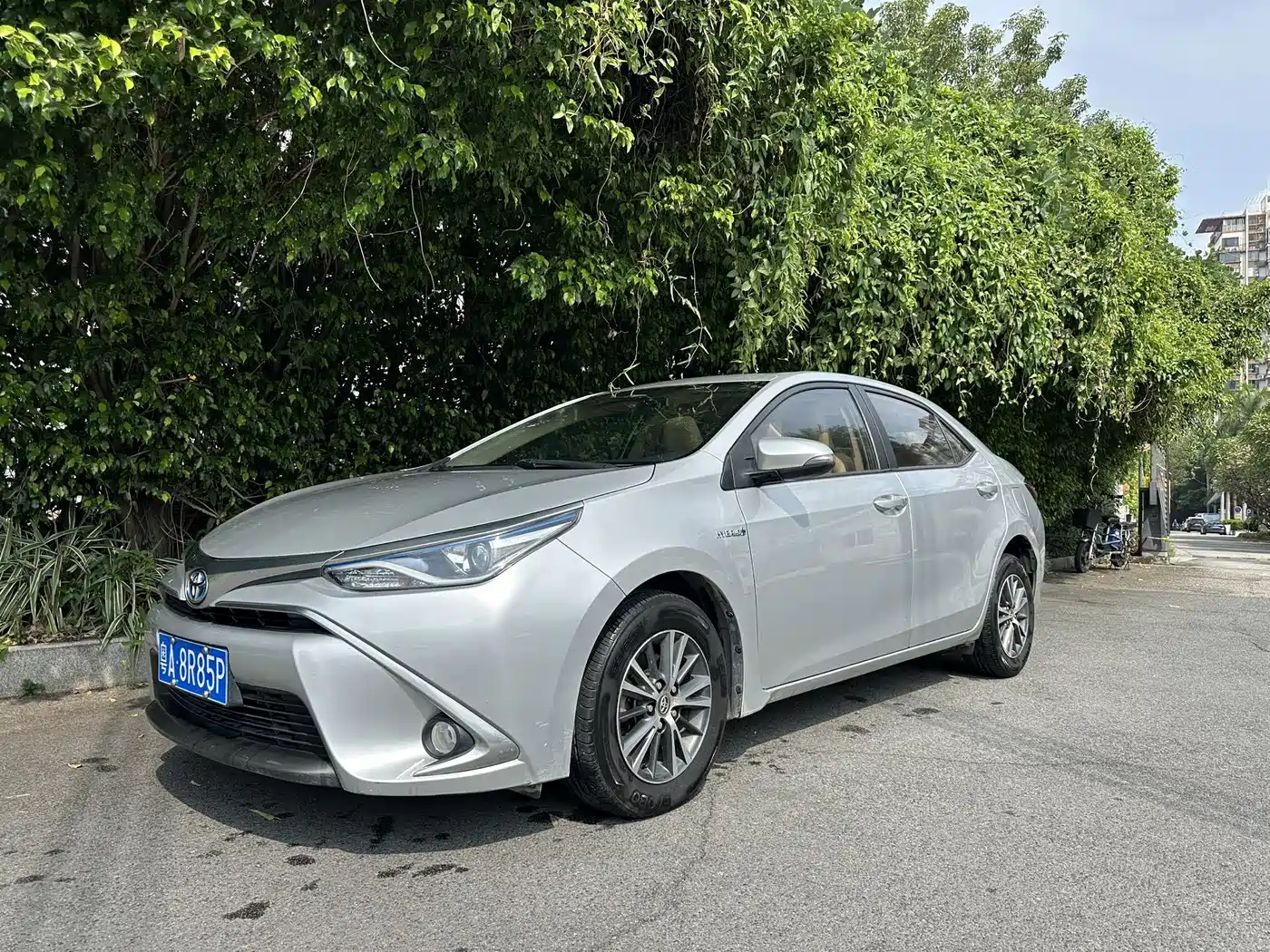 Toyota Levin 2016 — пригон из Китая