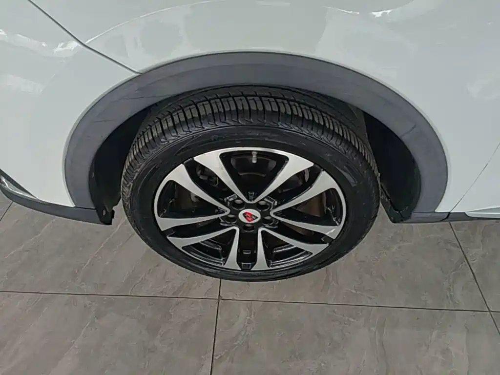 Фото 23 - Roewe RX3