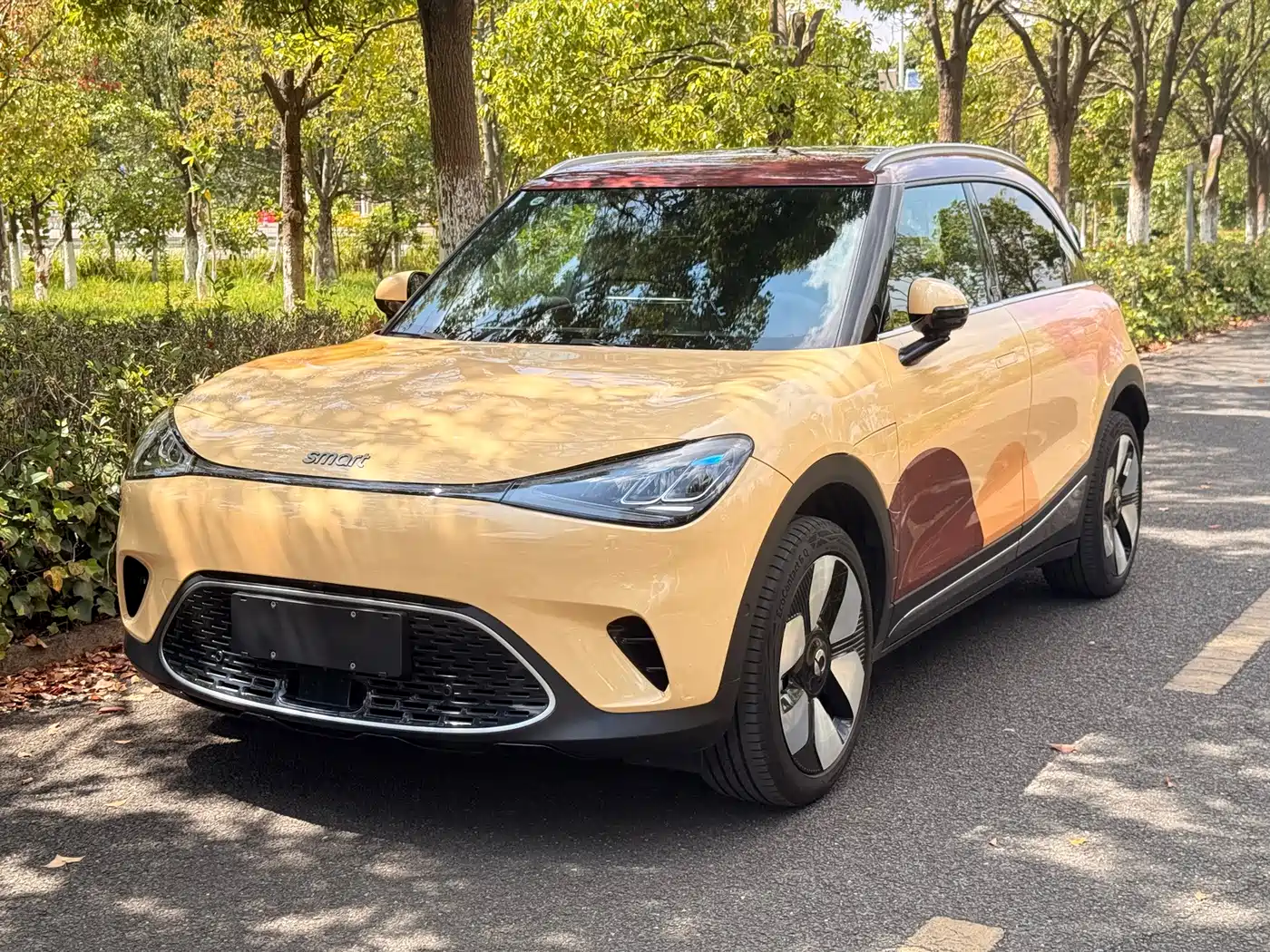 2025 smart Elf #1