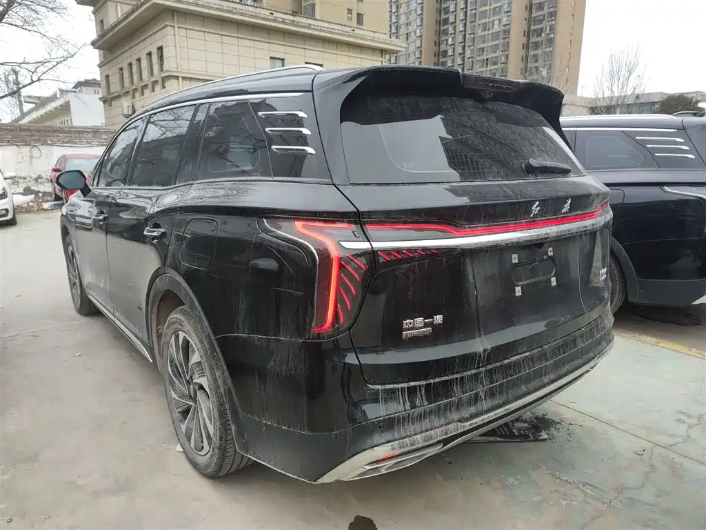 Hongqi HS7 PHEV 2024 2.0T PHEV 4WD Flagship Edition 6-seater фото 23