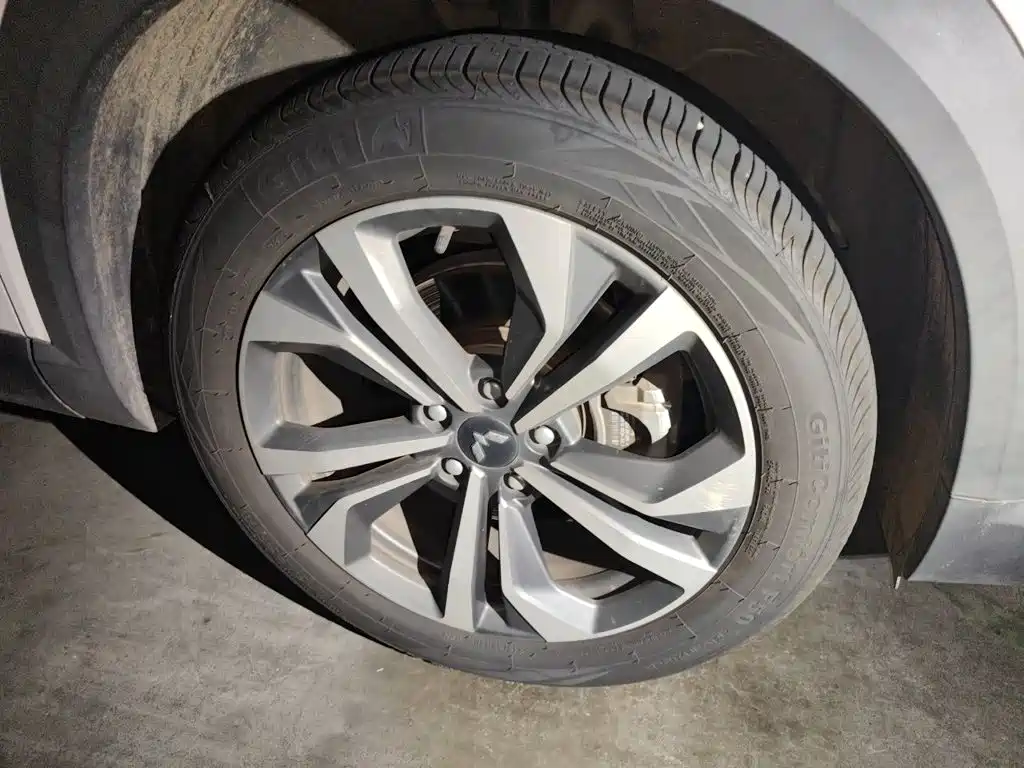 Wuling Motors Wuling Xingchen 2023 2022 2.0L DHT Electric Power Edition
