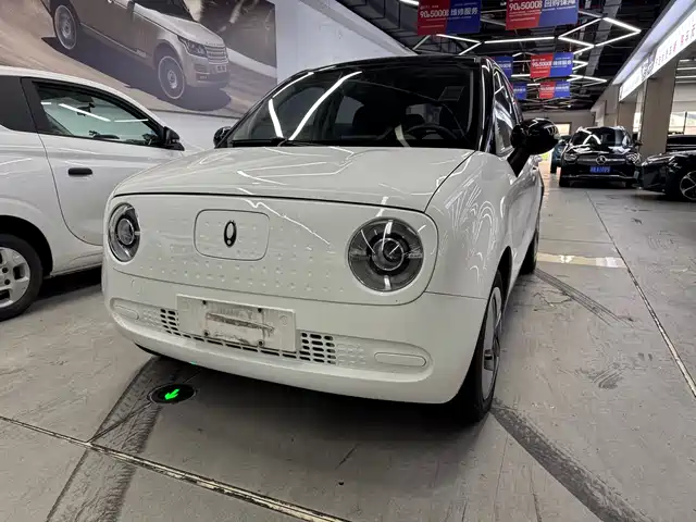 Ora Black Cat 2021 301km Basic Model