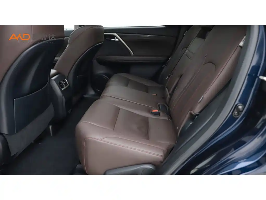 Lexus RX 2020 300 4WD Elegance Edition China VI фото 7