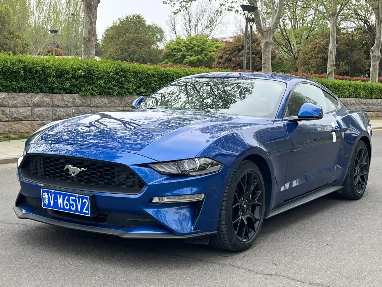 FORD MUSTANG