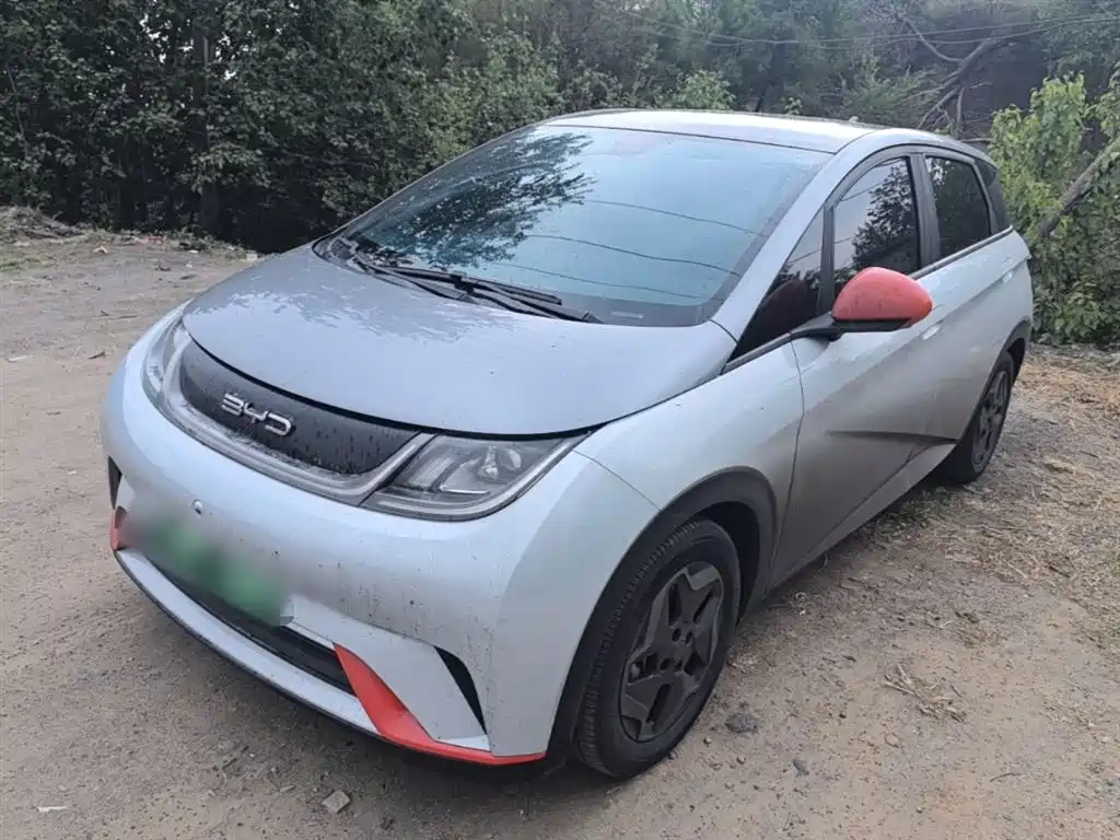 BYD Dolphin 2021 Model 405km Fashion Edition