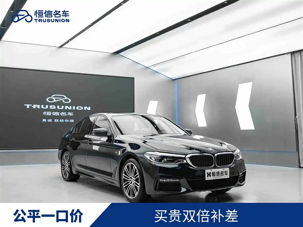 BMW 5 Series (Import) 2019 530i M Sport Package