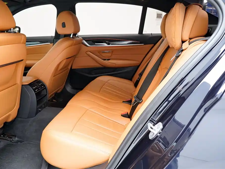 BMW 5 Series 2019 530Li Leading M Sport Package фото 6