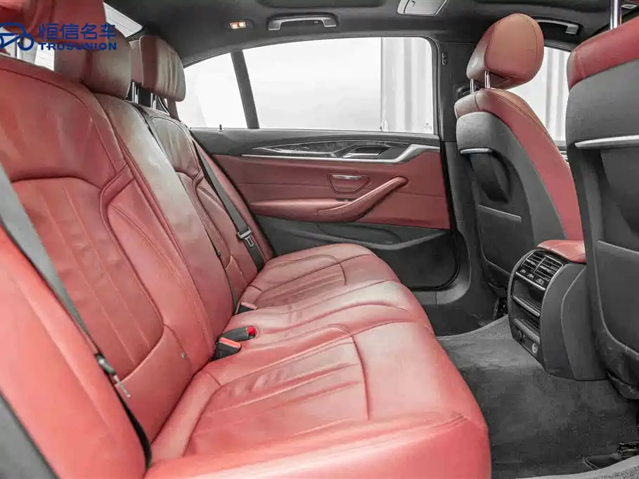 BMW 5 Series 2019 530Li Leading M Sport Package фото 16
