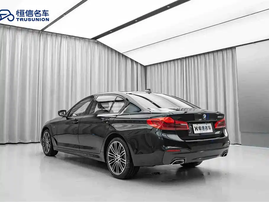 BMW 5 Series 2019 530Li Leading M Sport Package фото 7
