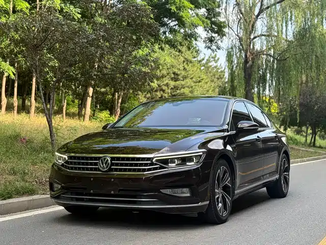 Volkswagen Magotan 2020 380TSI DSG Flagship Model
