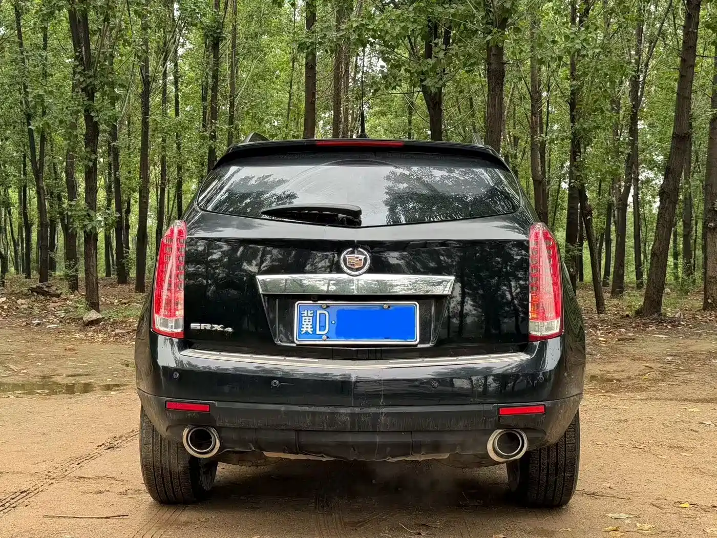 Cadillac SRX 2015 3.0L Comfort фото 4