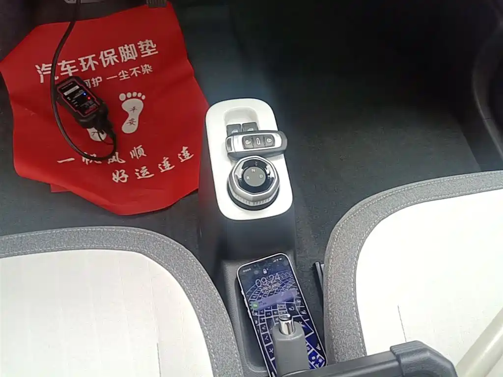 Geely Galaxy Panda 2025 Panda mini 210km Vitality Bear фото 14