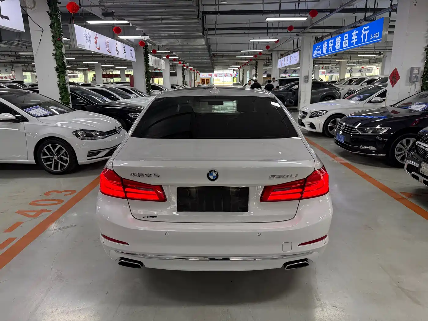 BMW 5 Series 2020 530Li xDrive Luxury Package фото 8