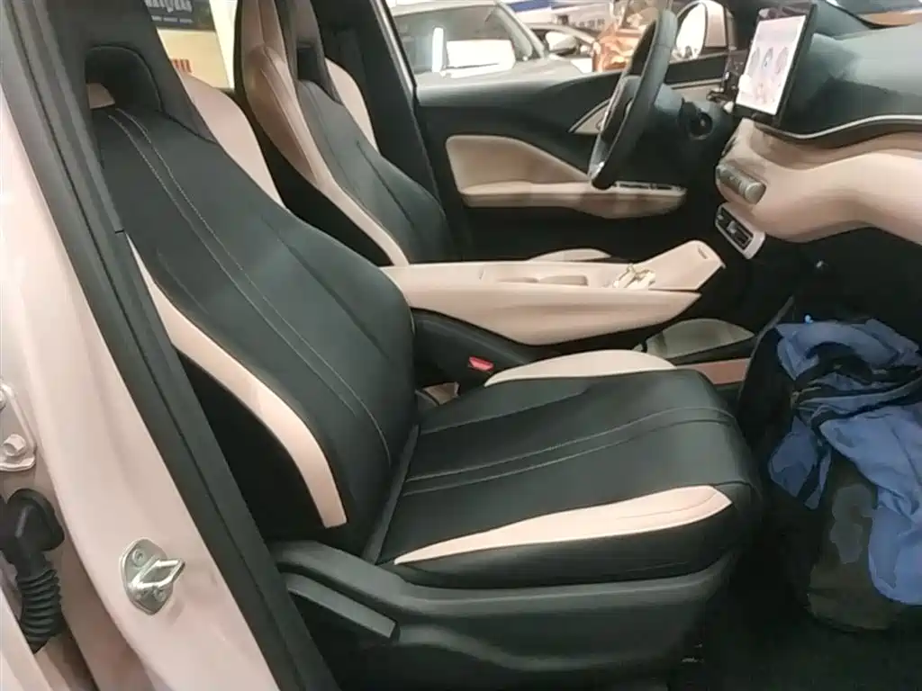 BYD Seagull 2025 305km Vitality фото 25
