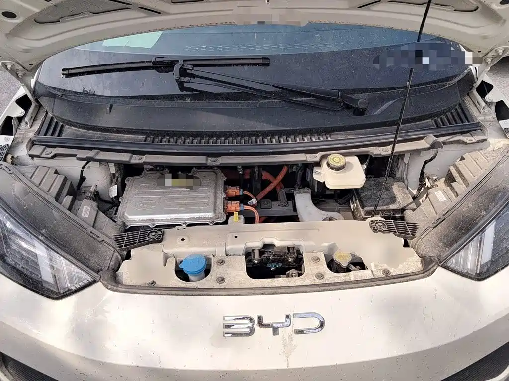 صورة 16 - BYD Seagull