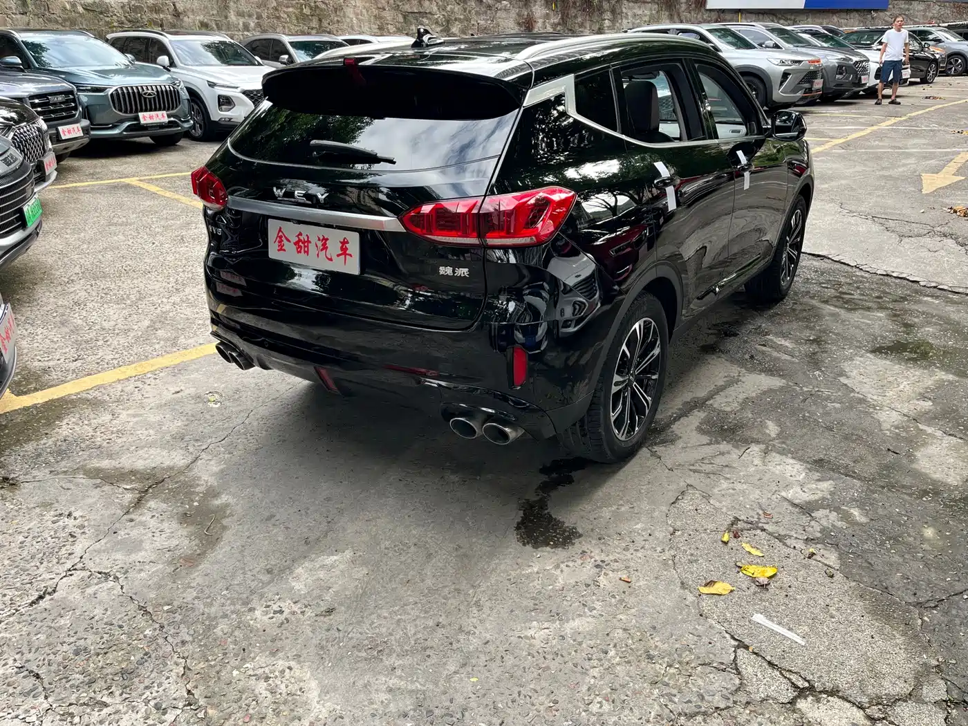 WEY VV6 2021 2021 2.0T 2WD Smart Protection+