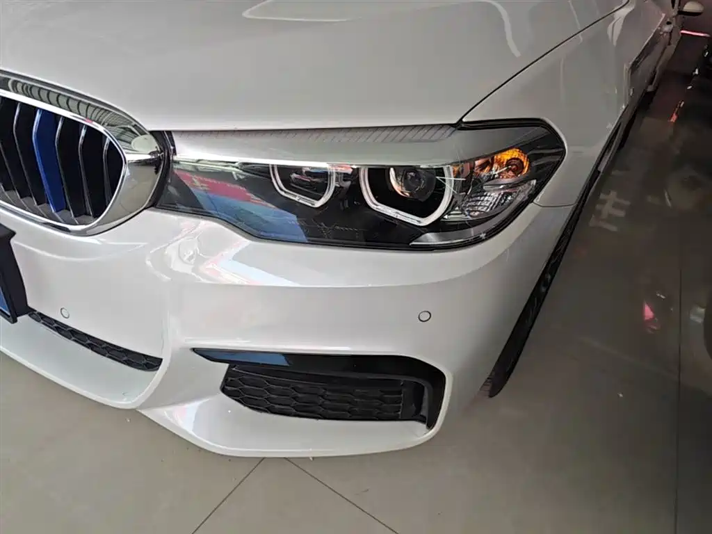 BMW 5 Series 2019 530Li Leading M Sport Package фото 24