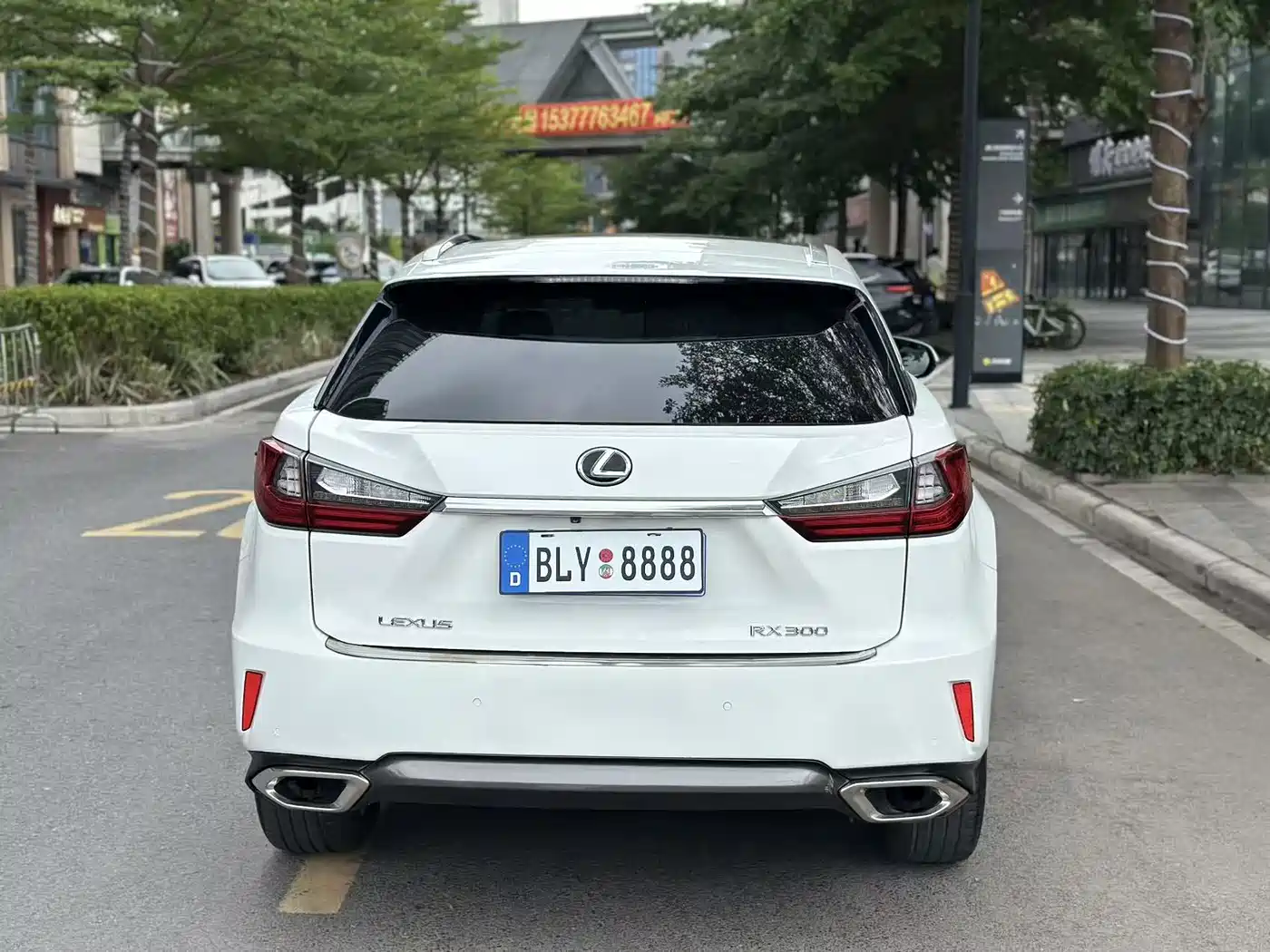 Lexus RX 2016 300 4WD Elegance Edition (China V) фото 10
