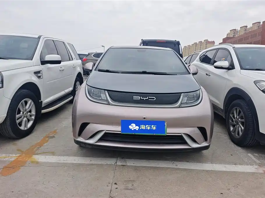BYD Dolphin 2021 Model 405km Fashion Edition фото 2