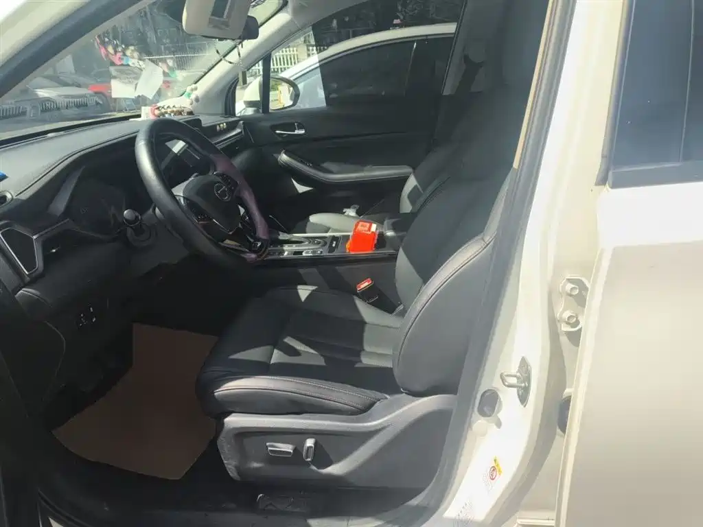 GAC Trumpchi Trumpchi GS4 2020 270T Automatic Smart Connect Tech Version фото 8