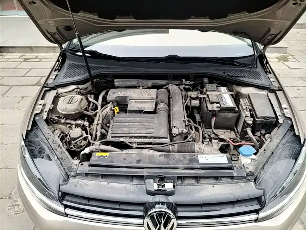 Volkswagen Golf 2019 200TSI DSG Comfort Progressive China VI фото 20