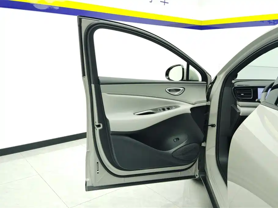 BYD SEA LION 06 NEW ENERGY