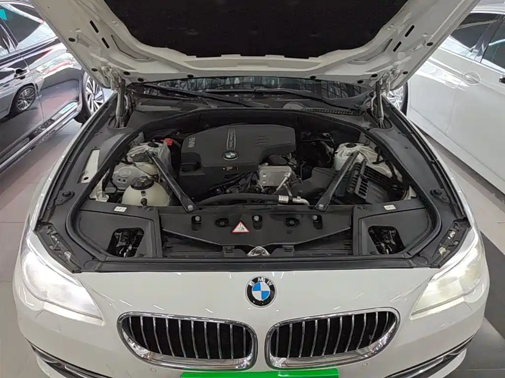 BMW 5 Series 2014 525Li Luxury Design Package фото 20