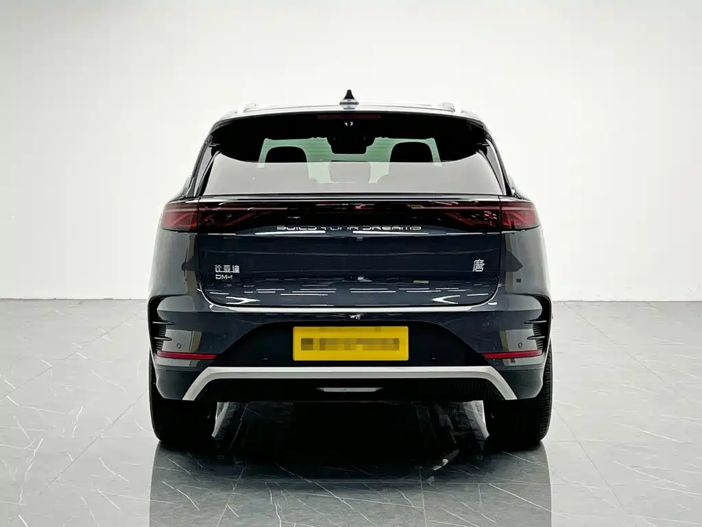 صورة 5 - BYD Tang New Energy