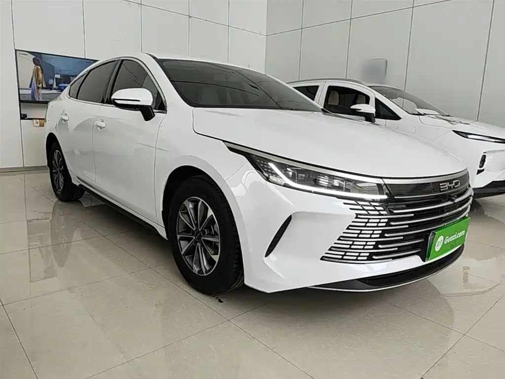 BYD Destroyer 05 2024 Glory Edition DM-i 55KM Luxury фото 4