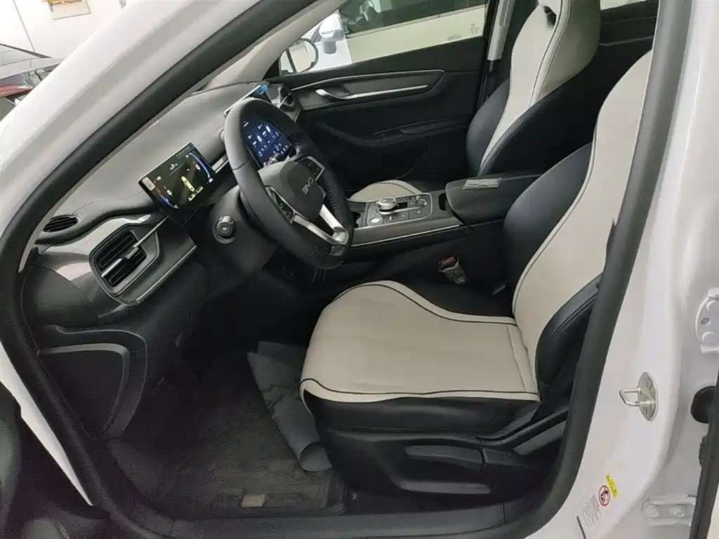 BYD Destroyer 05 2024 Glory Edition DM-i 55KM Luxury фото 15