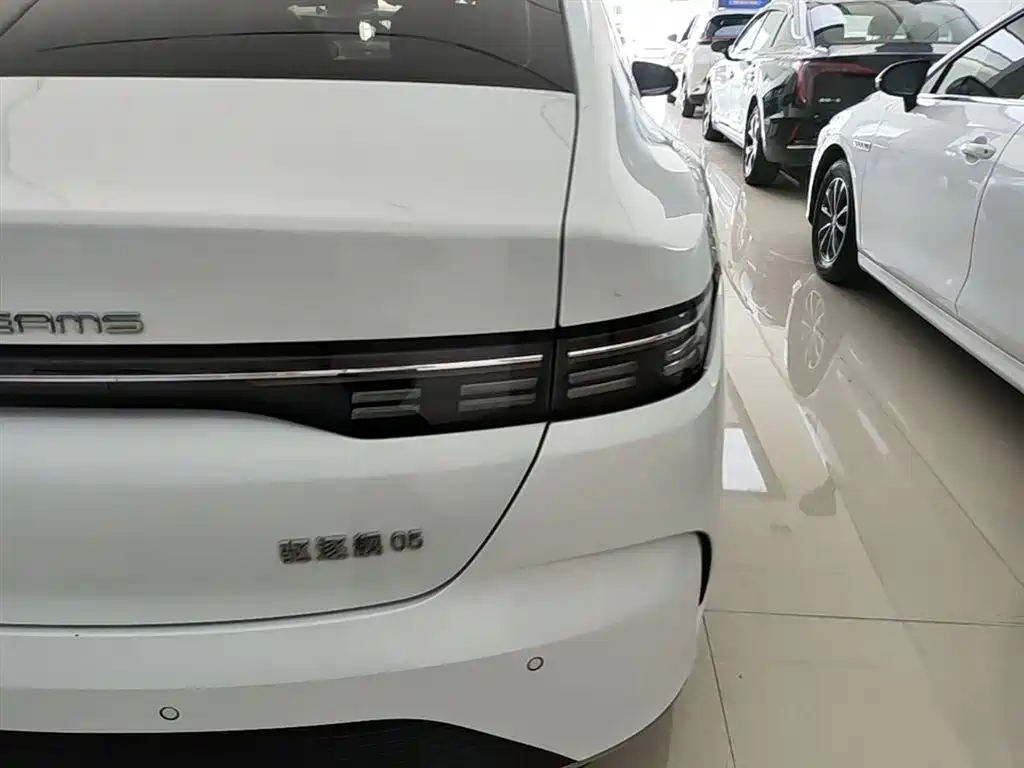 BYD Destroyer 05 2024 Glory Edition DM-i 55KM Luxury фото 8