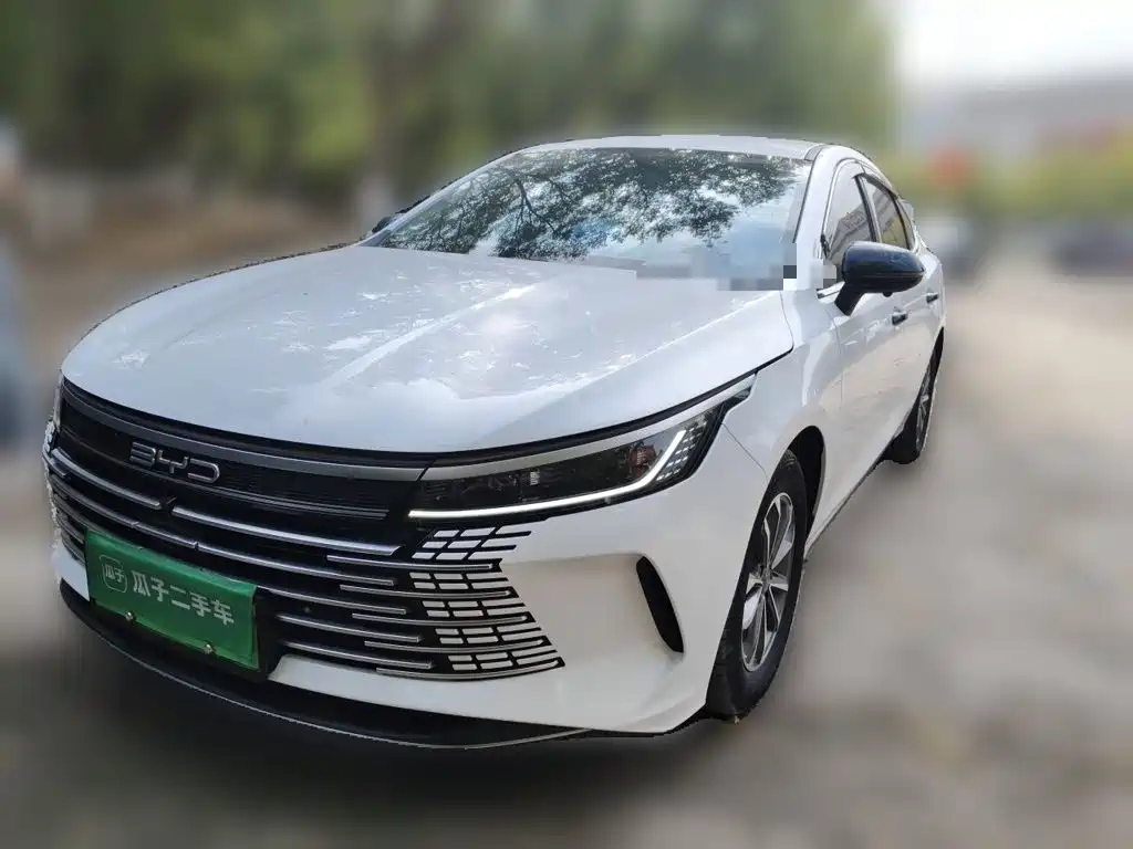 BYD Destroyer 05 2024 — пригон из Китая