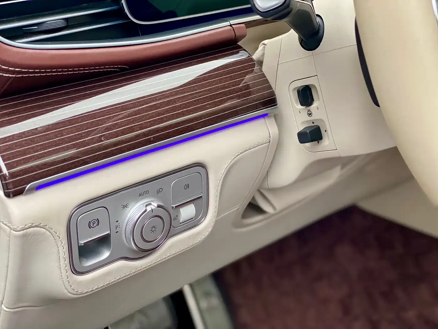 Mercedes-Benz Maybach GLS 2021 GLS 480 4MATIC фото 14