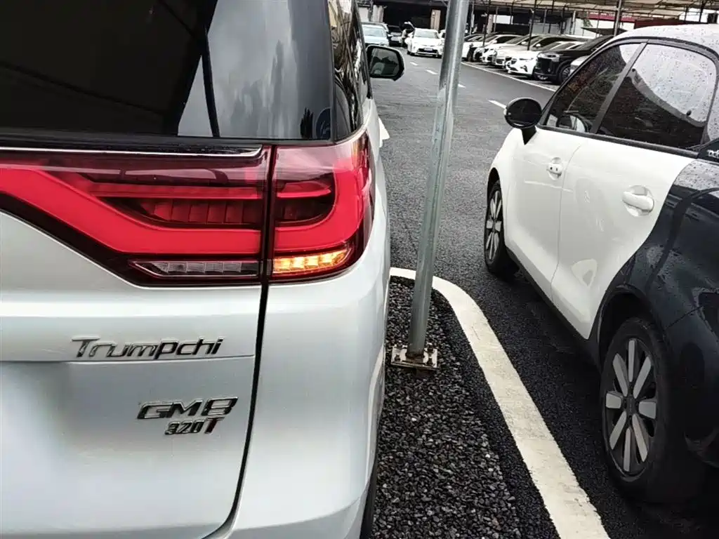GAC Trumpchi Trumpchi M8 2018 320T Flagship Edition фото 8