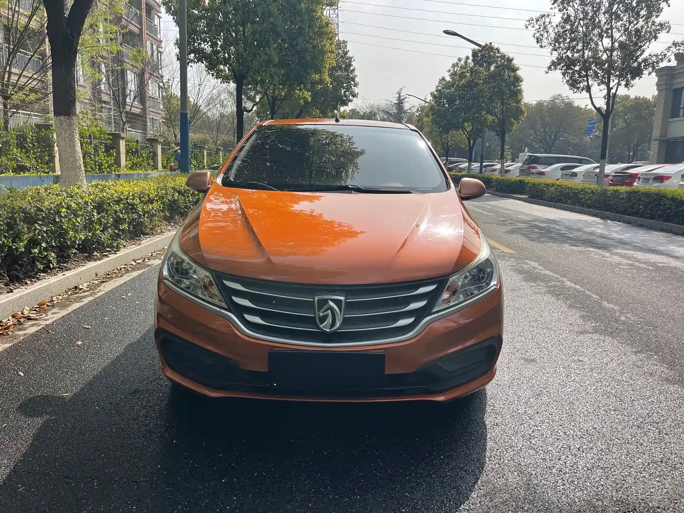 BAOJUN 310