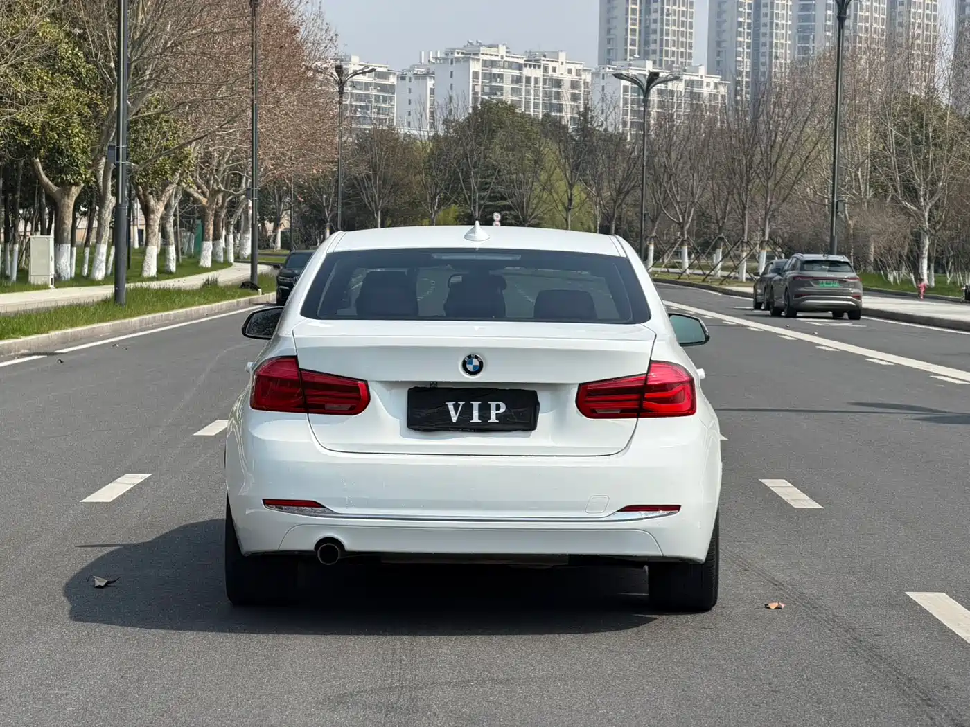 BMW 3 Series 2016 320Li Progressive фото 5