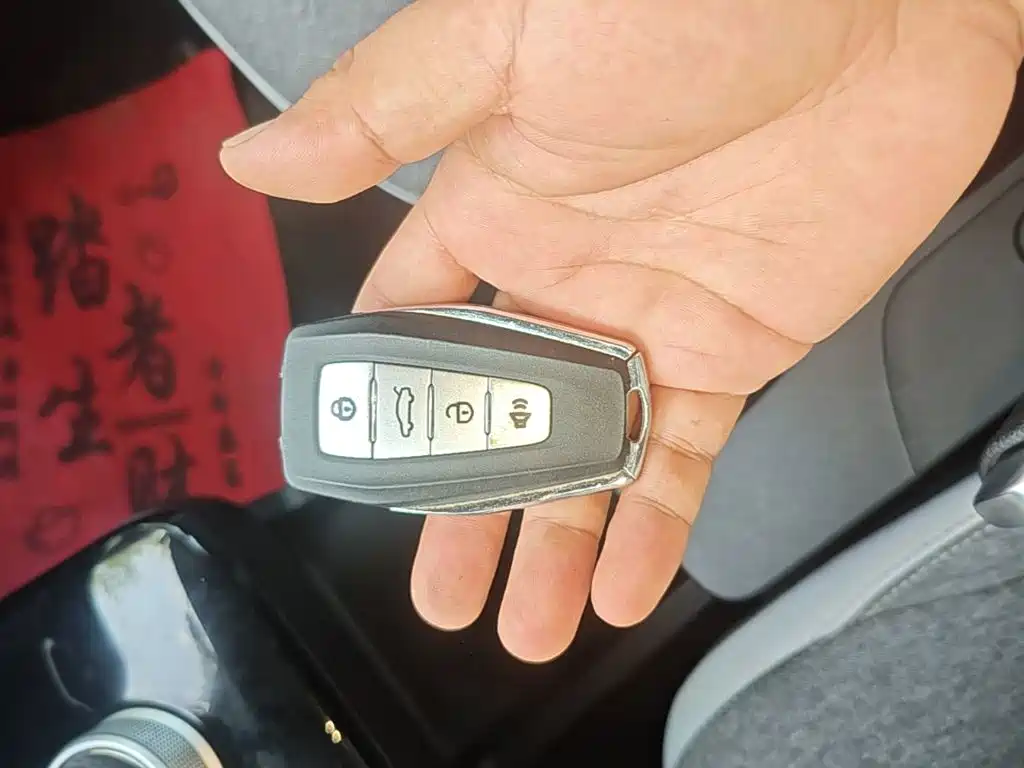 Geely Geometry E Firefly 2024 2024 Model 301km Light Flow